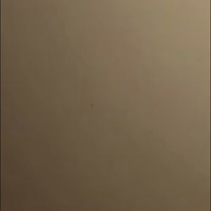 Meet your Posher, Riley